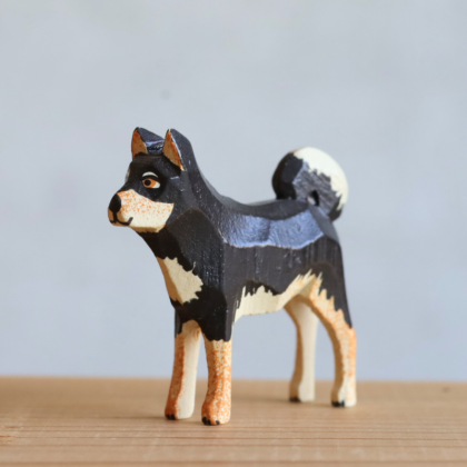 shibainu-werner